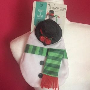 Merry and bright snowman costume